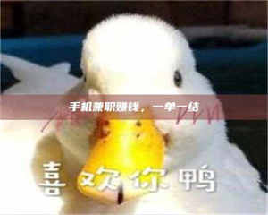 乐陵手机兼职赚钱，一单一结 第1张